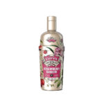 COPPA SHAKER STRAWBERRY DAQUIRI 700