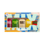 ABSOLUT MINI MIX SET 5x50ml